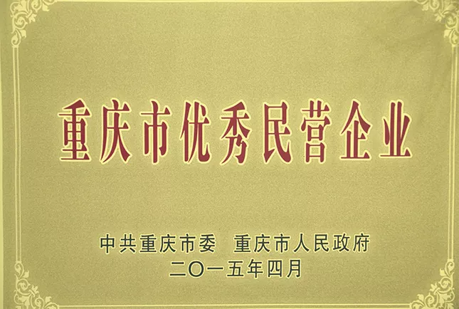 重庆市优秀民营企业